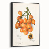 Black and white framed canvas featuring a vintage poster art style landscape of assorted fruits, ideal for bedroom wall art.