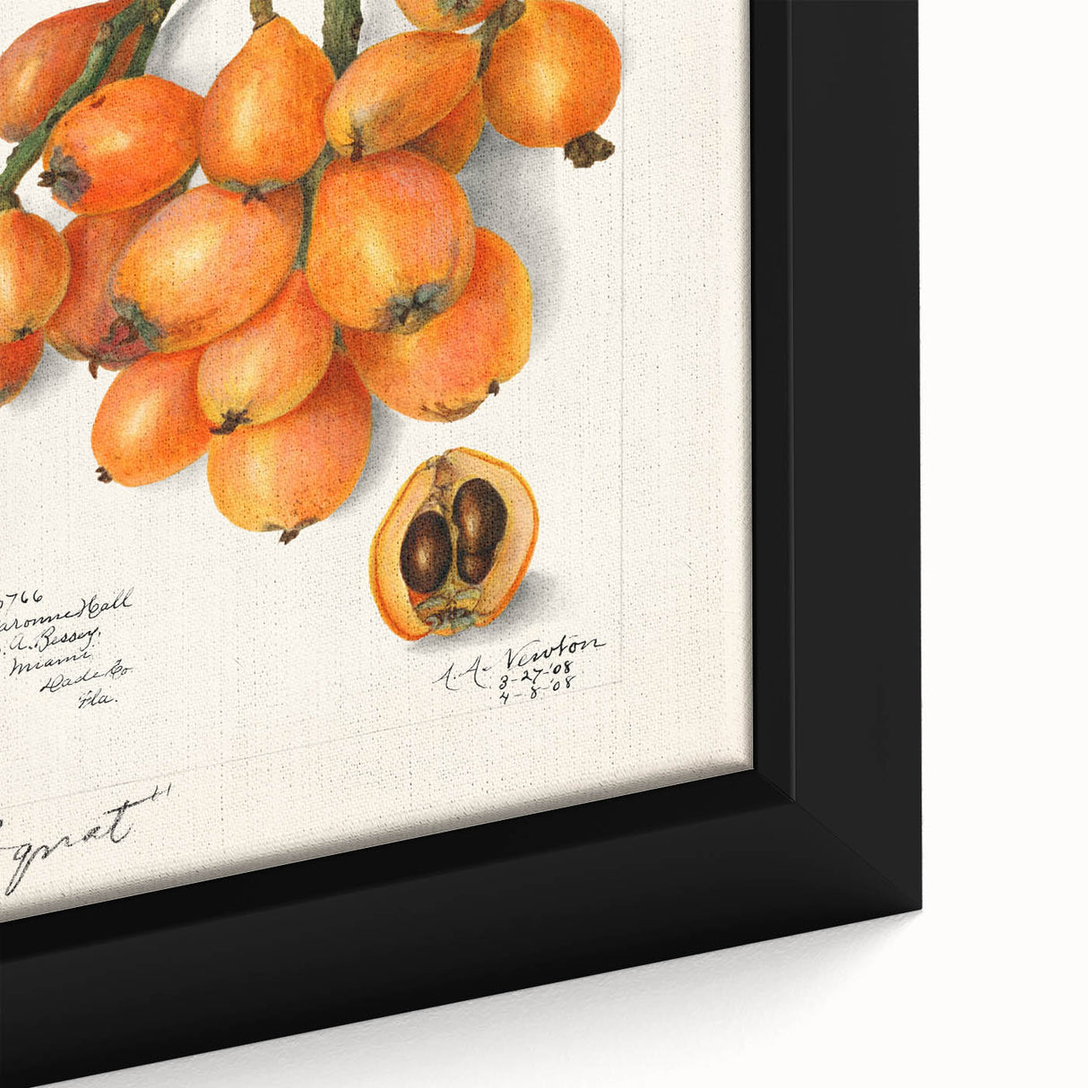Extra large black wall art on canvas featuring a textured close-up of colorful fruits, ideal for living room decor.
