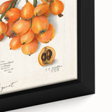 Extra large black wall art on canvas featuring a textured close-up of colorful fruits, ideal for living room decor.
