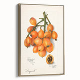 Framed canvas of vintage poster art depicting various fruits in muted colors, ideal for bedroom wall art.