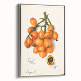 Landscape art painting of colorful fruits on a black background, vintage poster style, framed canvas.