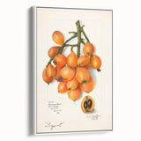 Vintage poster art of colorful fruits on a white framed canvas, ideal for extra large living room wall decor.