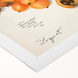 Art deco poster featuring assorted fruits in bold colors on rolled canvas, suitable for dining room wall art.