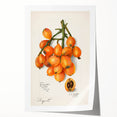 Rolled canvas print featuring an assortment of vibrant, colorful fruits, ideal for art wall dining room.
