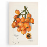 Black and white large art canvas of assorted fruits, ideal for kitchen wall art.