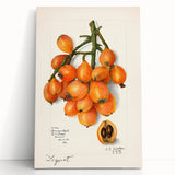 Black and white stretched canvas featuring an assortment of fruits, ideal for kitchen wall art.