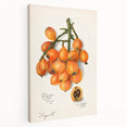 Large stretched canvas featuring a colorful array of fruits, ideal for kitchen wall art.