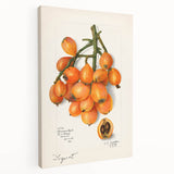 Large stretched canvas featuring a colorful array of fruits, ideal for kitchen wall art.