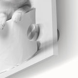 Bathroom Wall Art: Adorable Kitten on Toilet Roll – Modern Decor