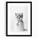 Bathroom Wall Art: Adorable Kitten on Toilet Roll – Modern Decor