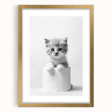 Bathroom Wall Art: Adorable Kitten on Toilet Roll – Modern Decor