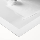 Bathroom Wall Art: Adorable Kitten on Toilet Roll – Modern Decor