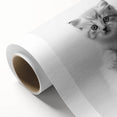 Bathroom Wall Art: Adorable Kitten on Toilet Roll – Modern Decor