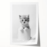 Bathroom Wall Art: Adorable Kitten on Toilet Roll – Modern Decor