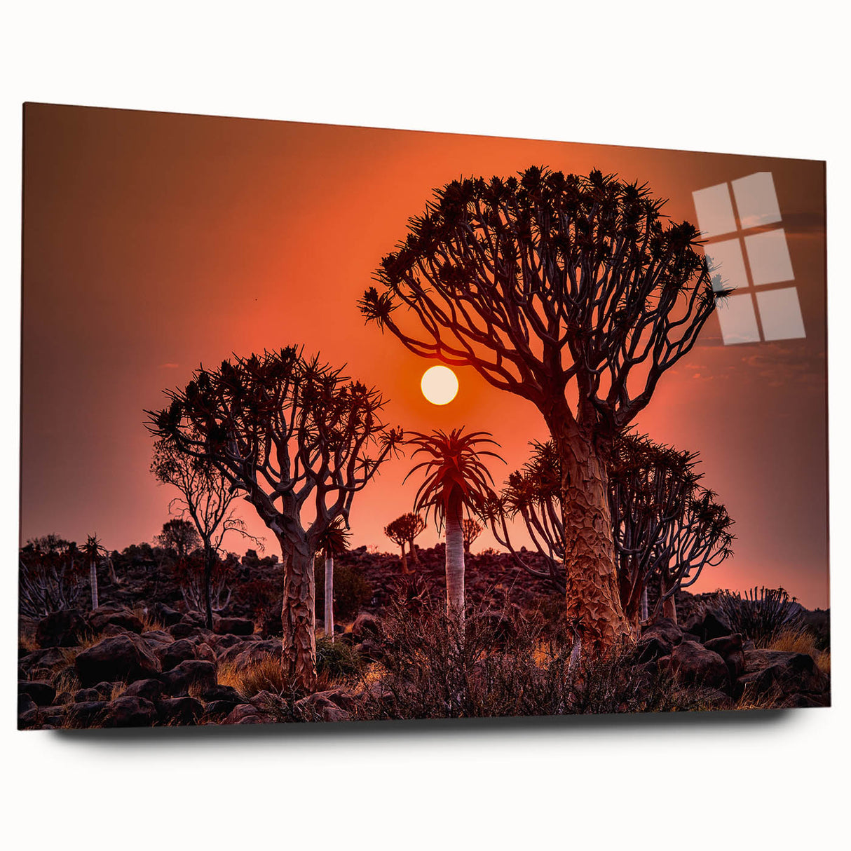 Large abstract wall art depicting the Namibian landscape on acrylic glass, featuring earthy tones.