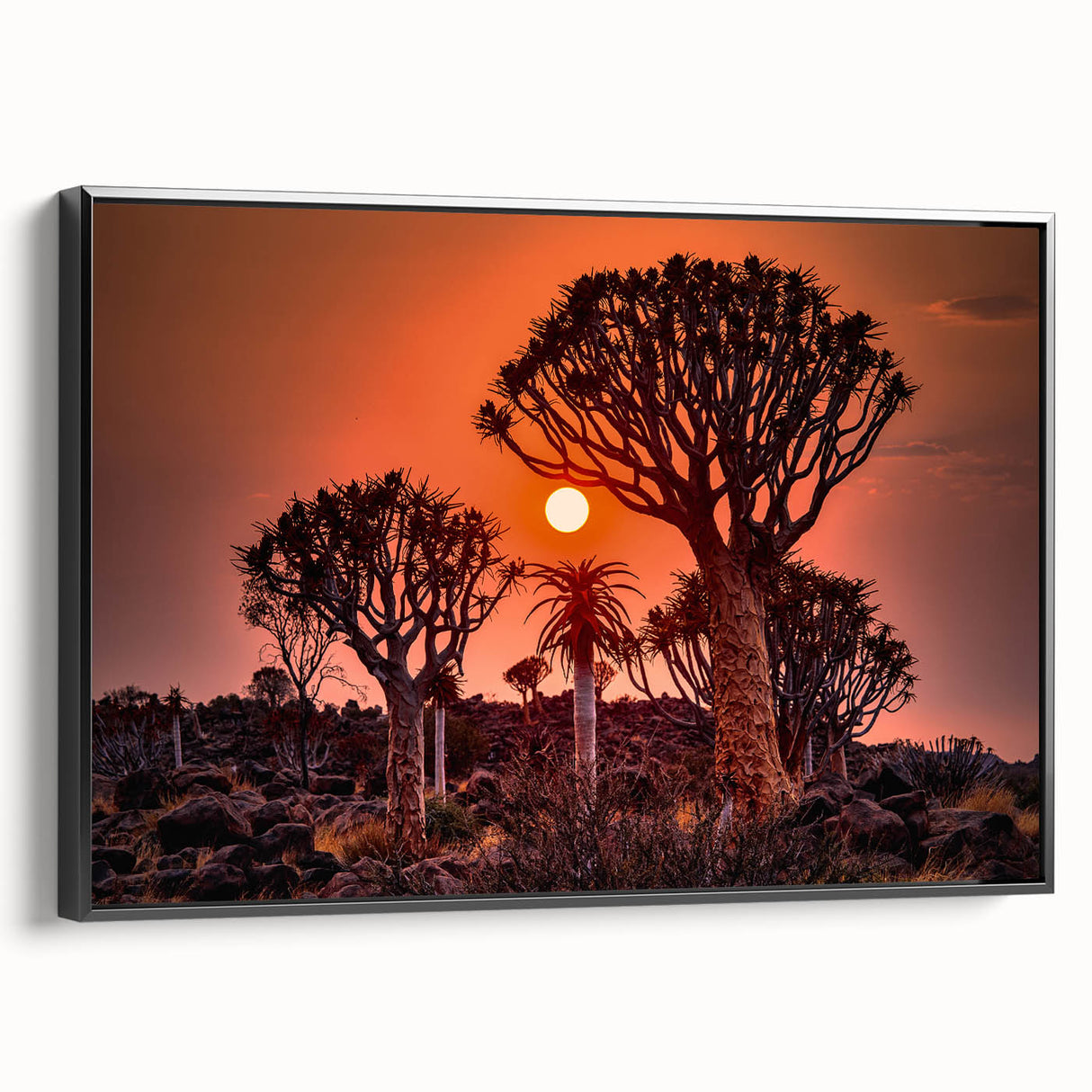 Black and white landscape art of Namibia on framed canvas, ideal for bedroom wall decor.