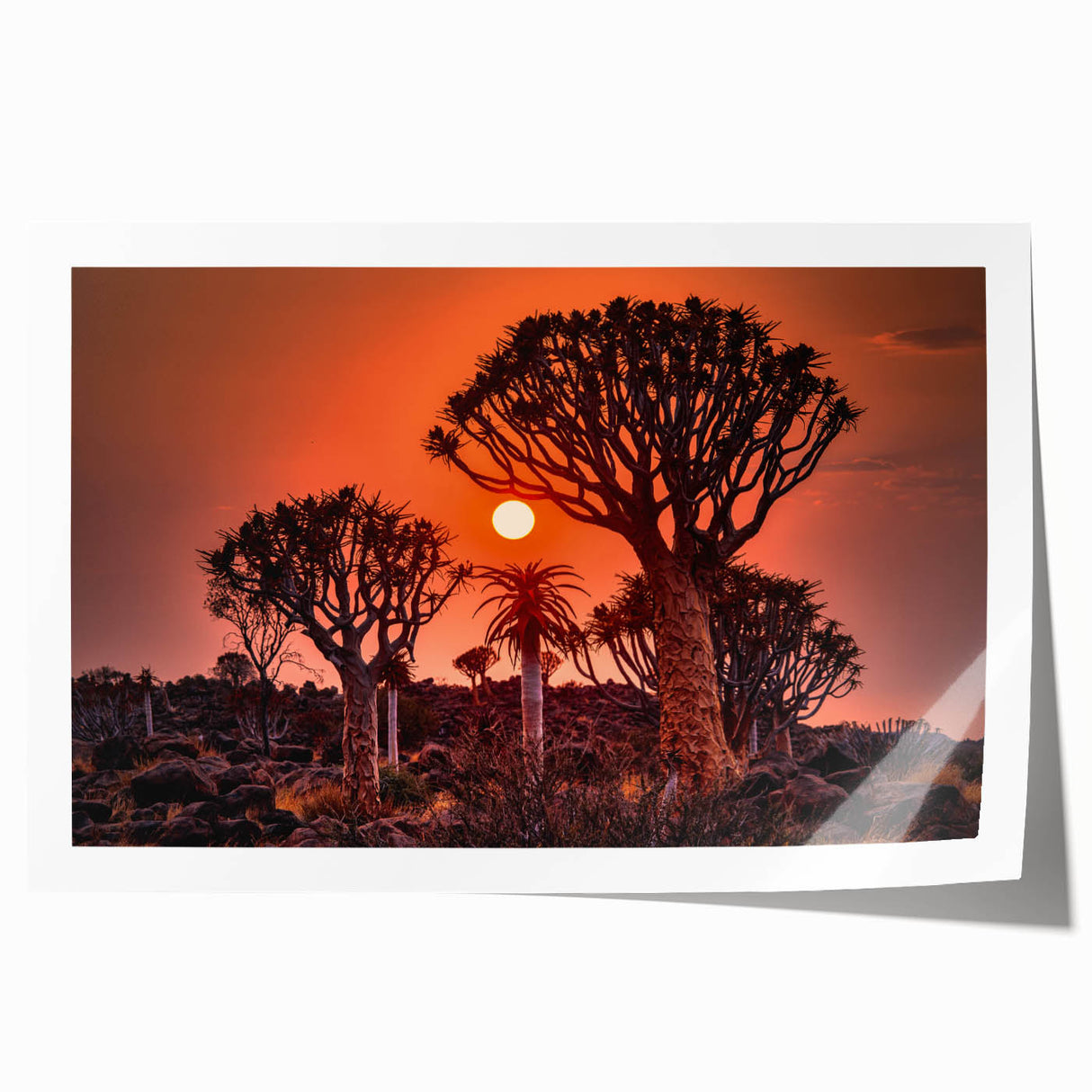 Extra large rolled print featuring a serene Namibian landscape with soft earth tones, ideal for art wall dining room.
