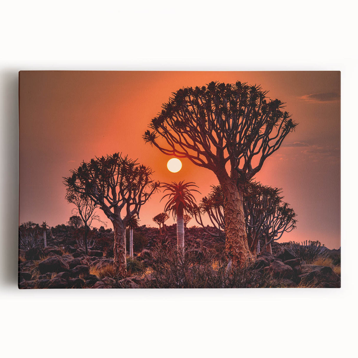 Black and white stretched canvas featuring a Namibian landscape, ideal for large kitchen art.