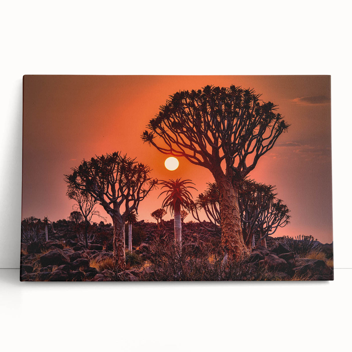 Black and white photo of Namibian scenery on large stretched canvas, ideal for kitchen wall art or bedroom ambiance.