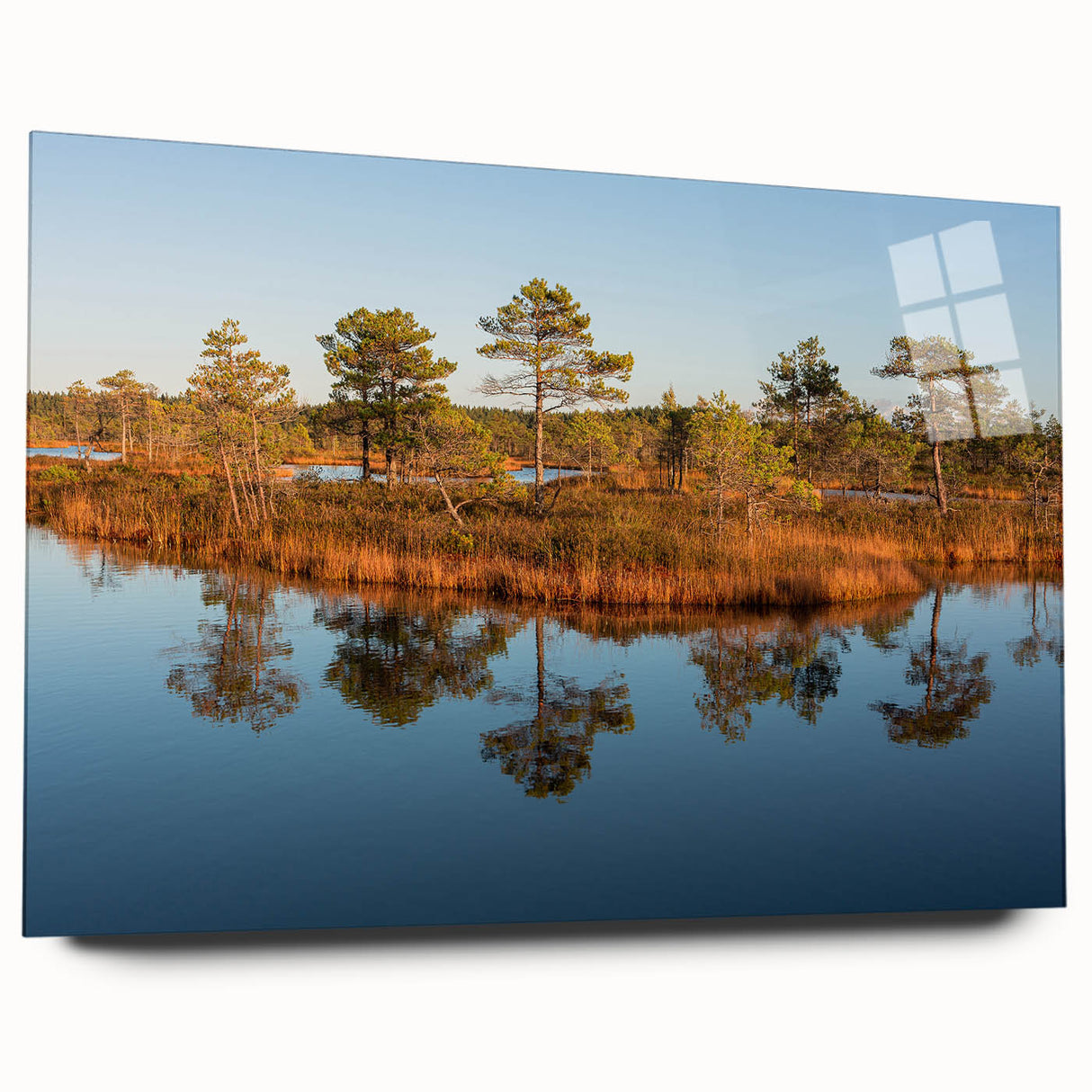 Large abstract wall art of a European scenery in Latvia on acrylic glass, featuring muted earth tones.