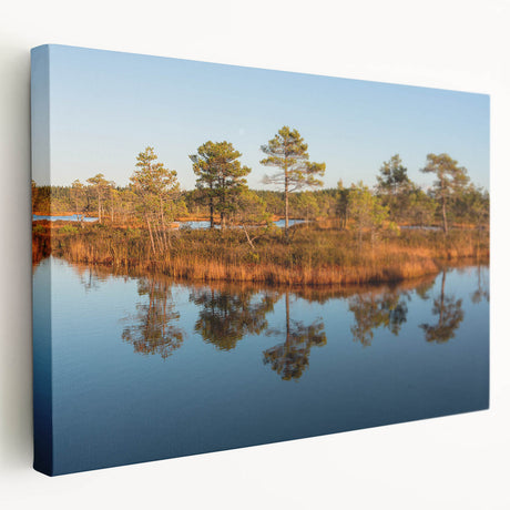 Large art depicting a European Latvia scenery on stretched canvas, in muted earth tones, ideal for kitchen wall decor.
