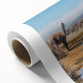 Art deco poster of a Bolivian landscape in pastel shades on rolled canvas, ideal for nursery wall art.