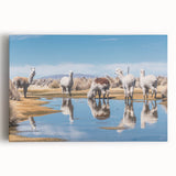 Black and white photograph of Bolivian landscape on stretched canvas, ideal for kitchen wall art.