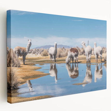 Large canvas print of a Bolivian landscape in earthy tones, suitable for kitchen wall art.