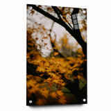Large abstract wall art depicting autumnal trees in orange and red hues on acrylic glass, ideal for dining room decor.