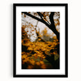 Extra large textured abstract art print with vibrant autumn colors on a black framed canvas, ideal for living room decor.