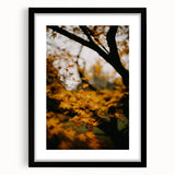 Extra large textured abstract art print with vibrant autumn colors on a black framed canvas, ideal for living room decor.
