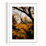 Abstract art print featuring autumnal tones in a minimalist style, framed with a white mat.