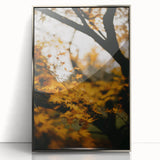 Mid-century modernist art featuring abstract fall foliage in muted orange and brown tones, framed in silver acrylic.