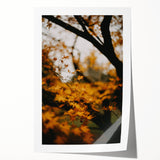 Extra large rolled print featuring a fall-themed floral design in warm orange and brown tones.