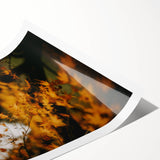 Extra large wall art featuring line art flowers in autumnal colors on a rolled print, suitable for large living room decor.