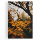 Large black and white abstract art on stretched canvas depicting swirling patterns, ideal for kitchen wall art.