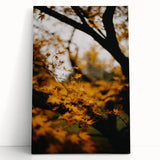 Large black and white abstract canvas art depicting autumn trees, ideal for kitchen wall art or bedroom ambiance.
