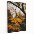 Large art depicting a fall scene with orange and yellow leaves on a stretched canvas, ideal for kitchen wall decor.