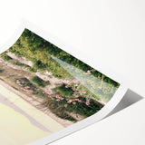 Extra large wall art featuring line art flowers in black on white, ideal for large living room decor.