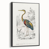 Romantic Art Prints: Purple Heron by Charles Dessalines d'Orbigny