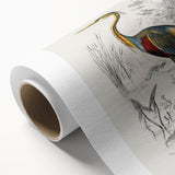 Romantic Art Prints: Purple Heron by Charles Dessalines d'Orbigny