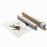 Romantic Art Prints: Vibrant Hummingbirds by Charles Dessalines d'Orbigny