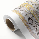 Serene Birch Forest Wall Art – Nature Canvas for Living Room