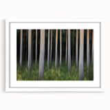 Vertical Forest Flow – Dynamic Abstract Tree Motion Wall Art