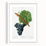 Neoclassical Art Print of Grape Vine by Redouté - Botanical Wall Art