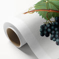 Neoclassical Art Print of Grape Vine by Redouté - Botanical Wall Art