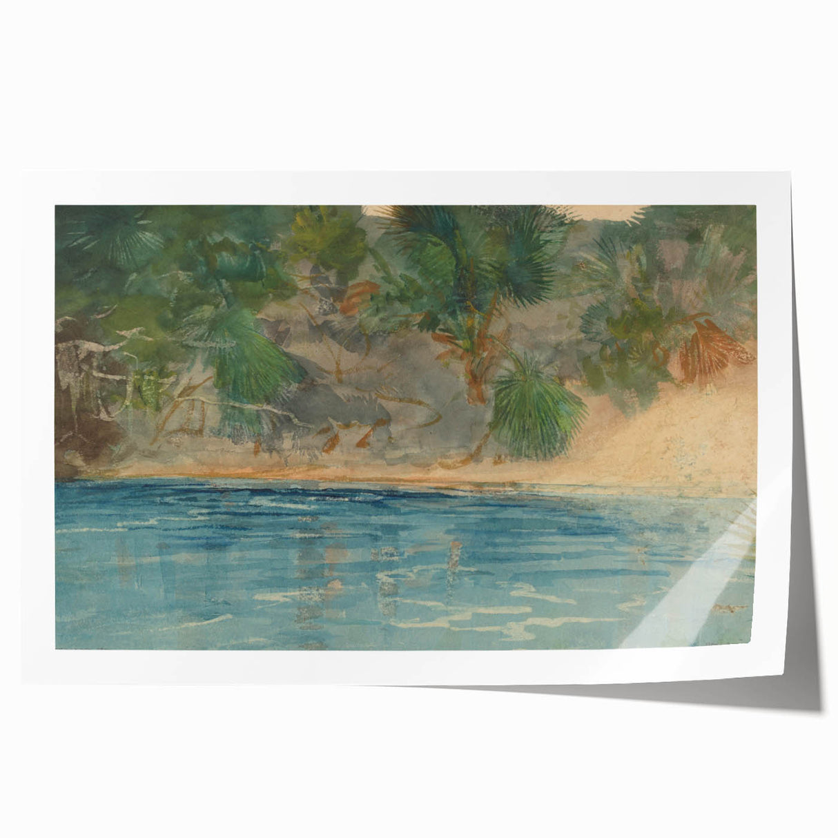 Realism Art Print - Blue Spring, Florida by Winslow Homer Canvas Art