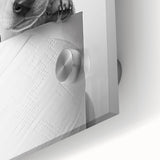 Bathroom Wall Art - Playful Puppy on Toilet Roll Modern Decor