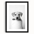 Bathroom Wall Art - Playful Puppy on Toilet Roll Modern Decor