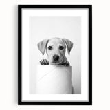 Bathroom Wall Art - Playful Puppy on Toilet Roll Modern Decor